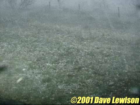 530hail1.jpg (19515 bytes)